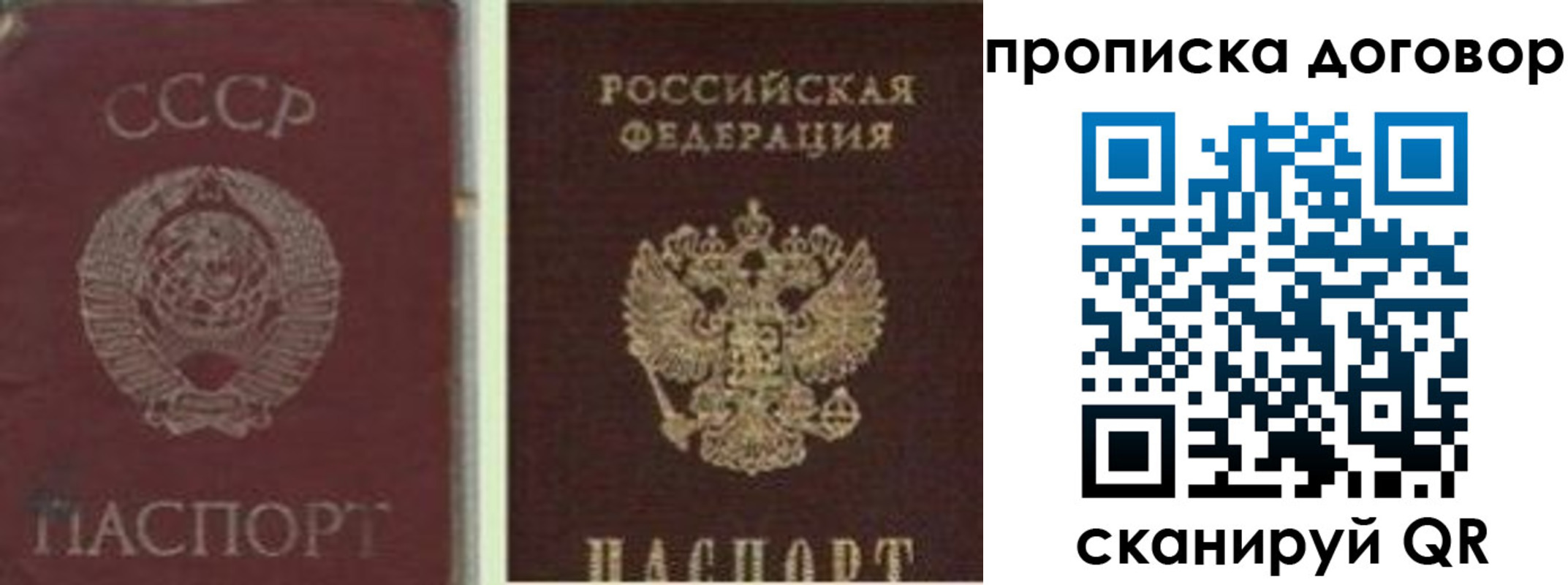 прописка гарантия в Никольском